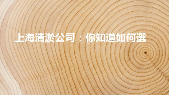 上海清淤公司：你知道如何選擇最佳合作伙伴嗎？